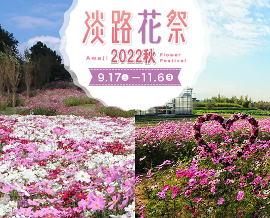 花を通じて秋の淡路島を楽しめる「淡路花祭2022秋」開催!